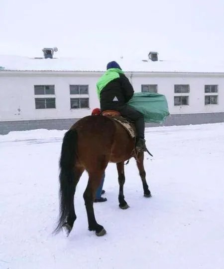 雪天骑马撞人逃逸,我国交通法允许在公路上骑马吗?