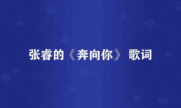 张睿的《奔向你》 歌词