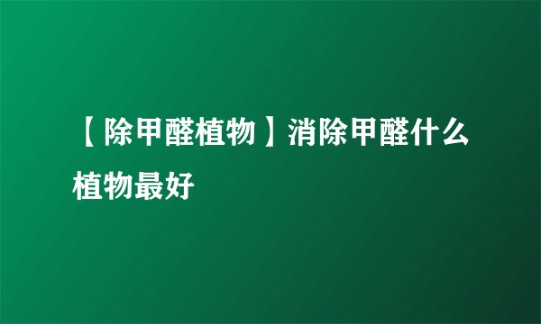 【除甲醛植物】消除甲醛什么植物最好