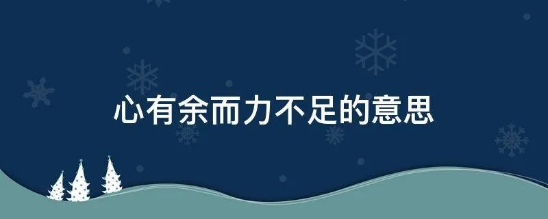 心有余而力不足的意思