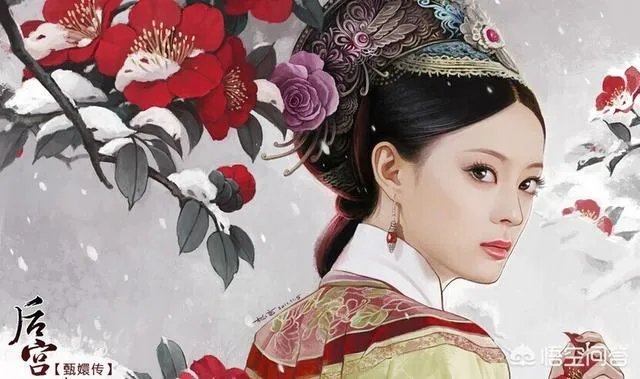 如何评价《甄嬛传》?