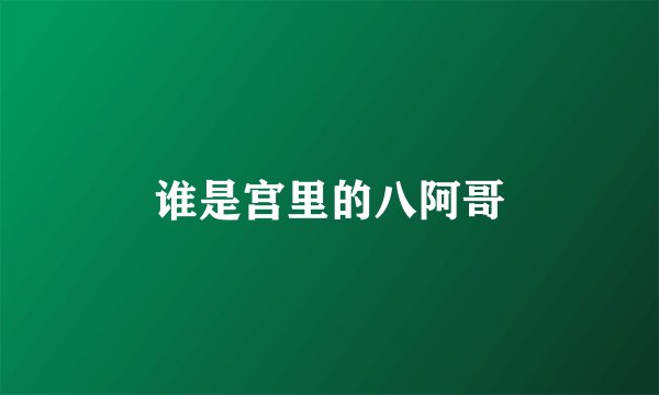 谁是宫里的八阿哥