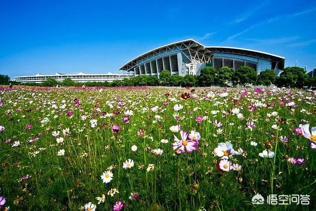 南京中医药大学怎么样?