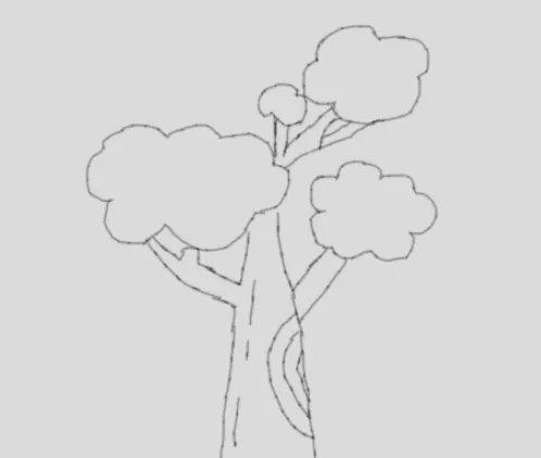 画树怎么画
