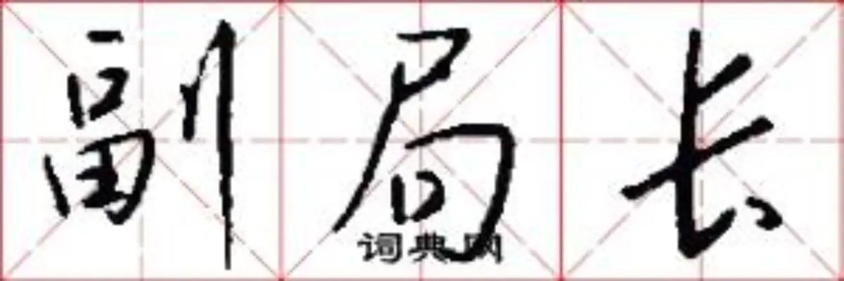 副局长