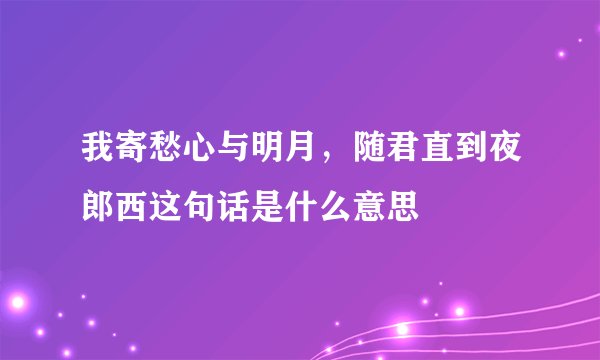 我寄愁心与明月，随君直到夜郎西这句话是什么意思