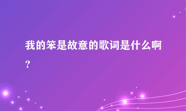 我的笨是故意的歌词是什么啊？