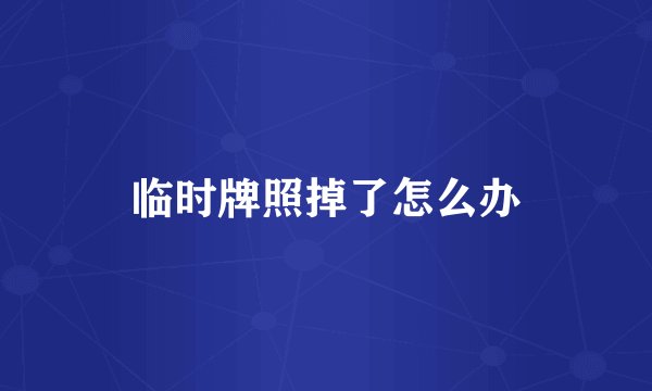 临时牌照掉了怎么办