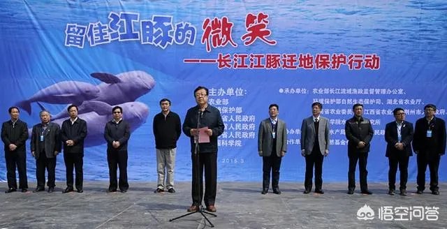 白鱀豚是怎样灭绝的