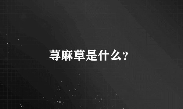 荨麻草是什么？