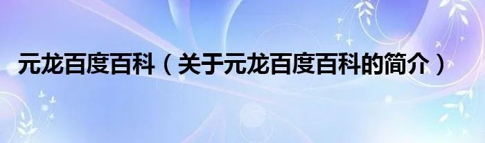 元龙百度百科（关于元龙百度百科的简介）
