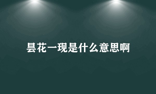昙花一现是什么意思啊
