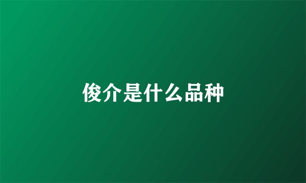 俊介是什么品种