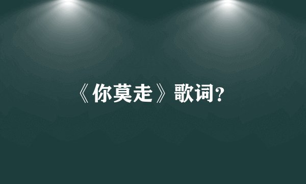 《你莫走》歌词?