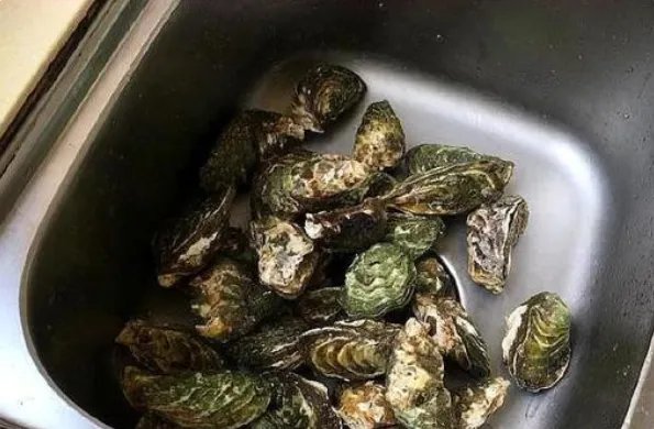 生蚝怎么打开