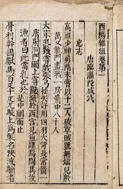 酉阳杂俎