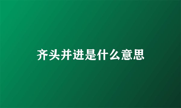齐头并进是什么意思