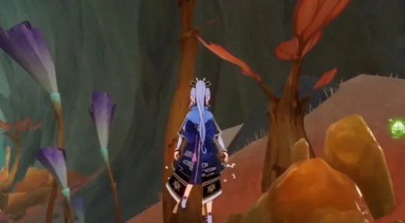 《原神》悬铃木在什么地方?悬铃木获取攻略