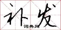 补发
