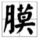 膜组词