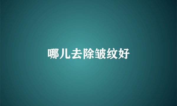 哪儿去除皱纹好