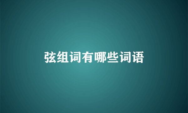 弦组词有哪些词语