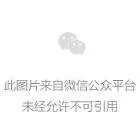 VVT可变气门正时组成工作原理和优点 VVT可变气门正时图解