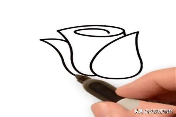 玫瑰花简笔画怎么画?