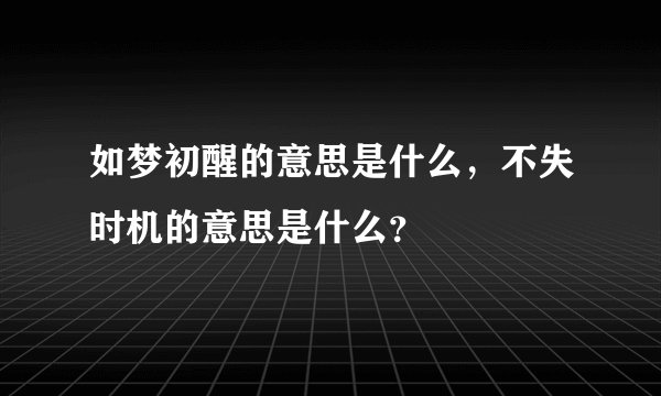 如梦初醒的意思是什么，不失时机的意思是什么？