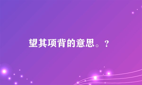 望其项背的意思。？