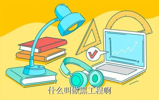 黑工程，黑工程在哪儿