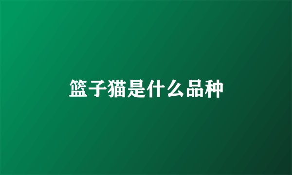 篮子猫是什么品种