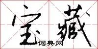 宝藏