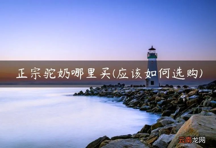 应该如何选购 正宗驼奶哪里买