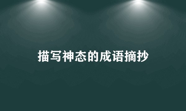 描写神态的成语摘抄