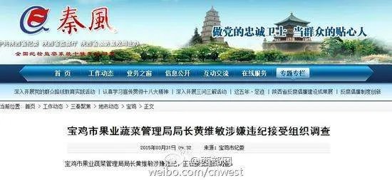 秦风网的介绍