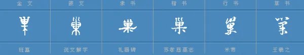 巢组词，用巢字怎么组词