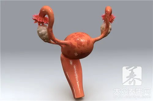 b超可以检查些什么