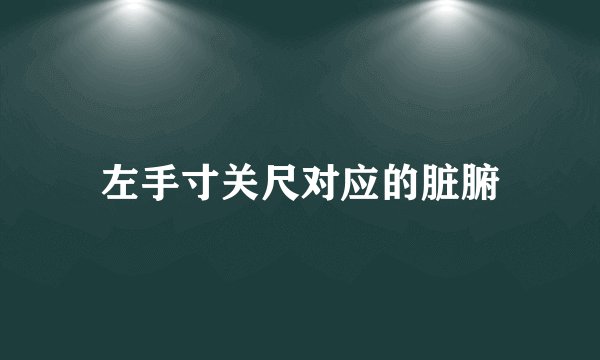 左手寸关尺对应的脏腑