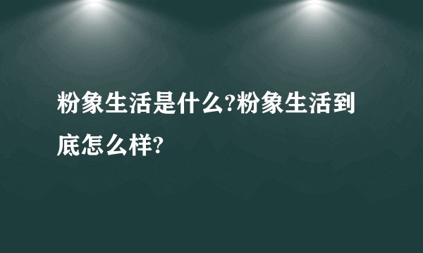 粉象生活是什么?粉象生活到底怎么样?