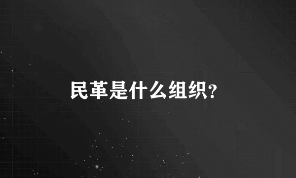 民革是什么组织？