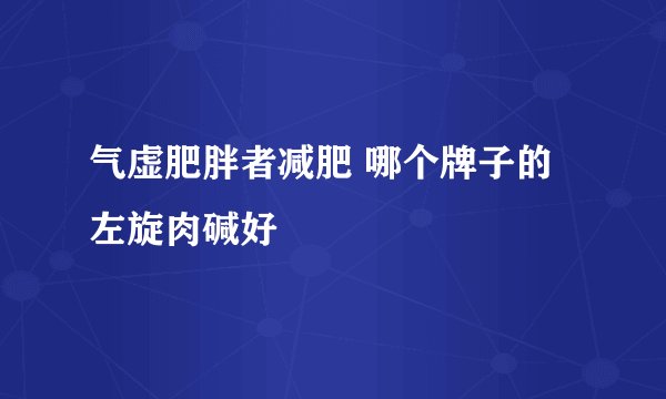气虚肥胖者减肥 哪个牌子的左旋肉碱好