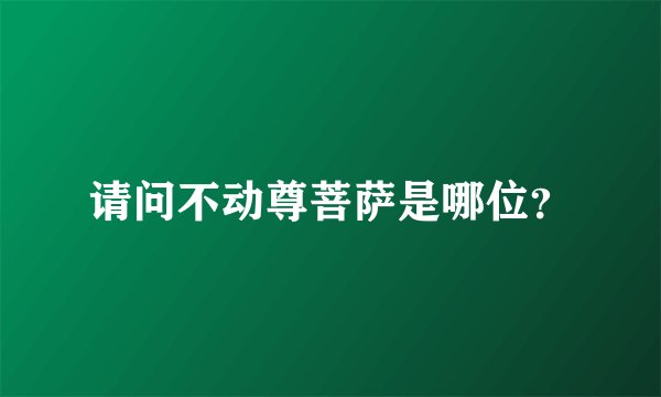 请问不动尊菩萨是哪位?