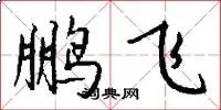 鹏飞