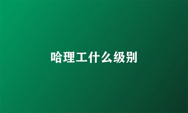 哈理工什么级别