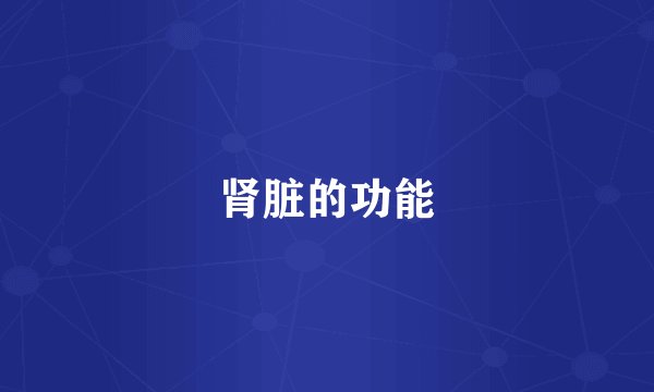肾脏的功能