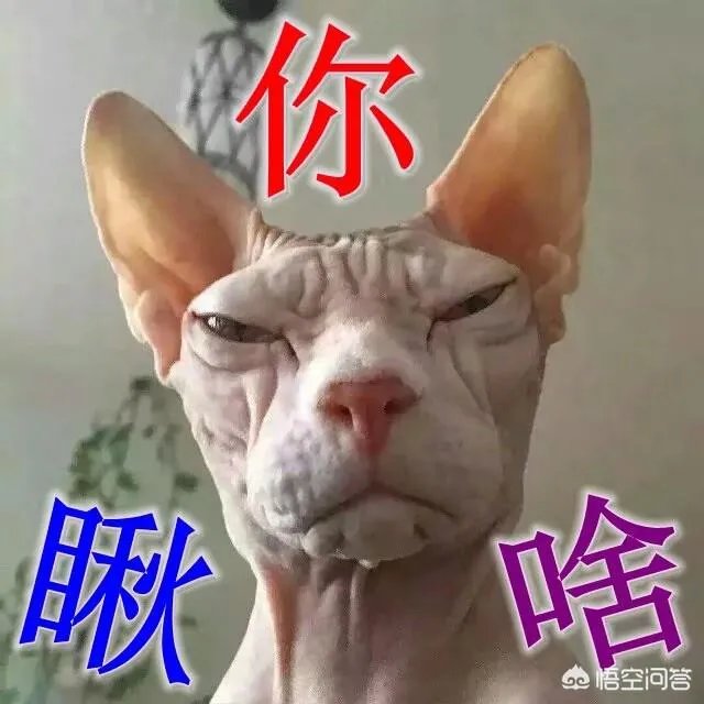 天津市区的天津人从饮食,文化,等等各方面,是否与纯正的北方文化有差异?
