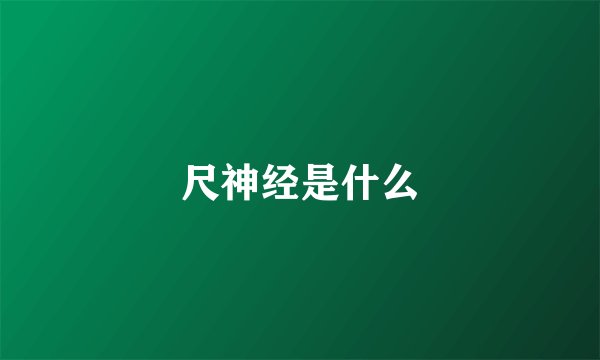 尺神经是什么