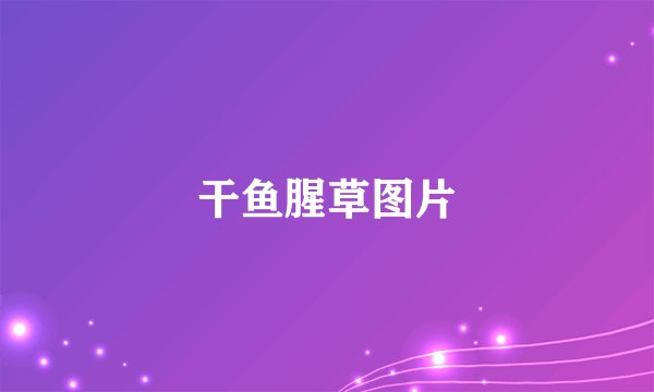 干鱼腥草图片