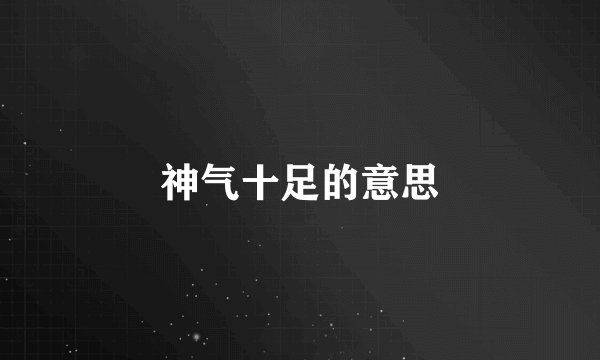 神气十足的意思